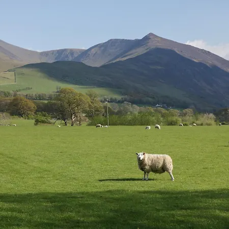 Lingy Luxury Family Pod *