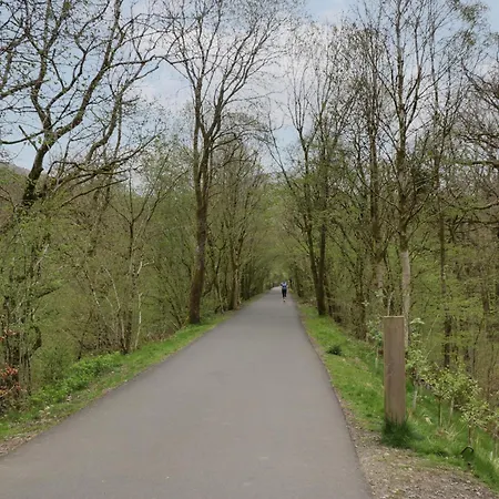 Lingy Luxury Family Pod