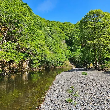 Lingy Luxury Family Pod
