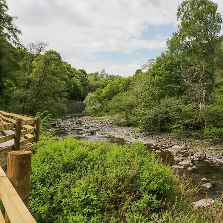 Lingy Luxury Family Pod