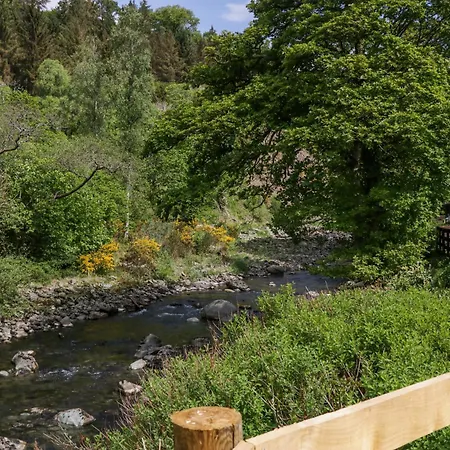 Lingy Luxury Family Pod