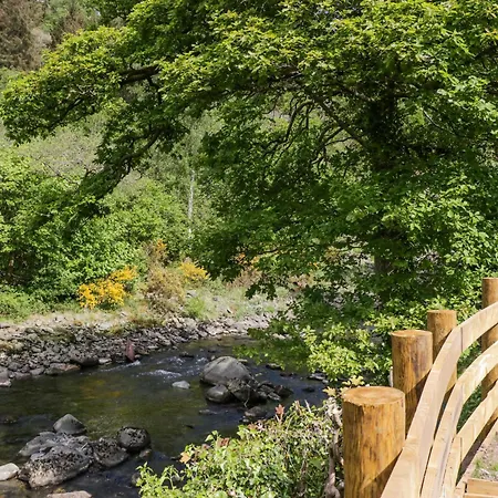 Tatil Evi Lingy Luxury Family Pod